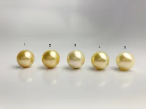 16mm - Golden South Sea Loose Pearls - Round - AA - 50% Percent Off Special, South Sea (#577 No. 1-5)
