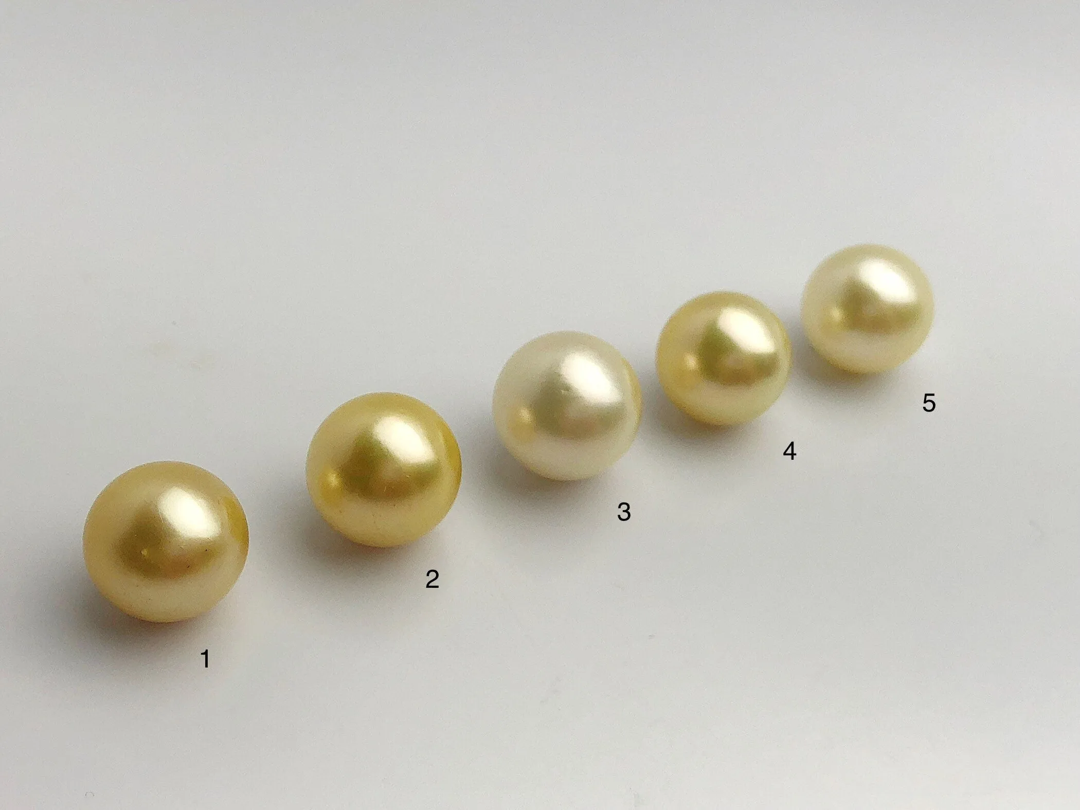 16mm - Golden South Sea Loose Pearls - Round - AA - 50% Percent Off Special, South Sea (#577 No. 1-5)