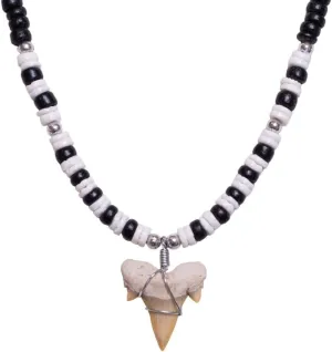 BlueRica Fossil Shark Tooth on Coconut Shell Beads Necklace (18" 2S)