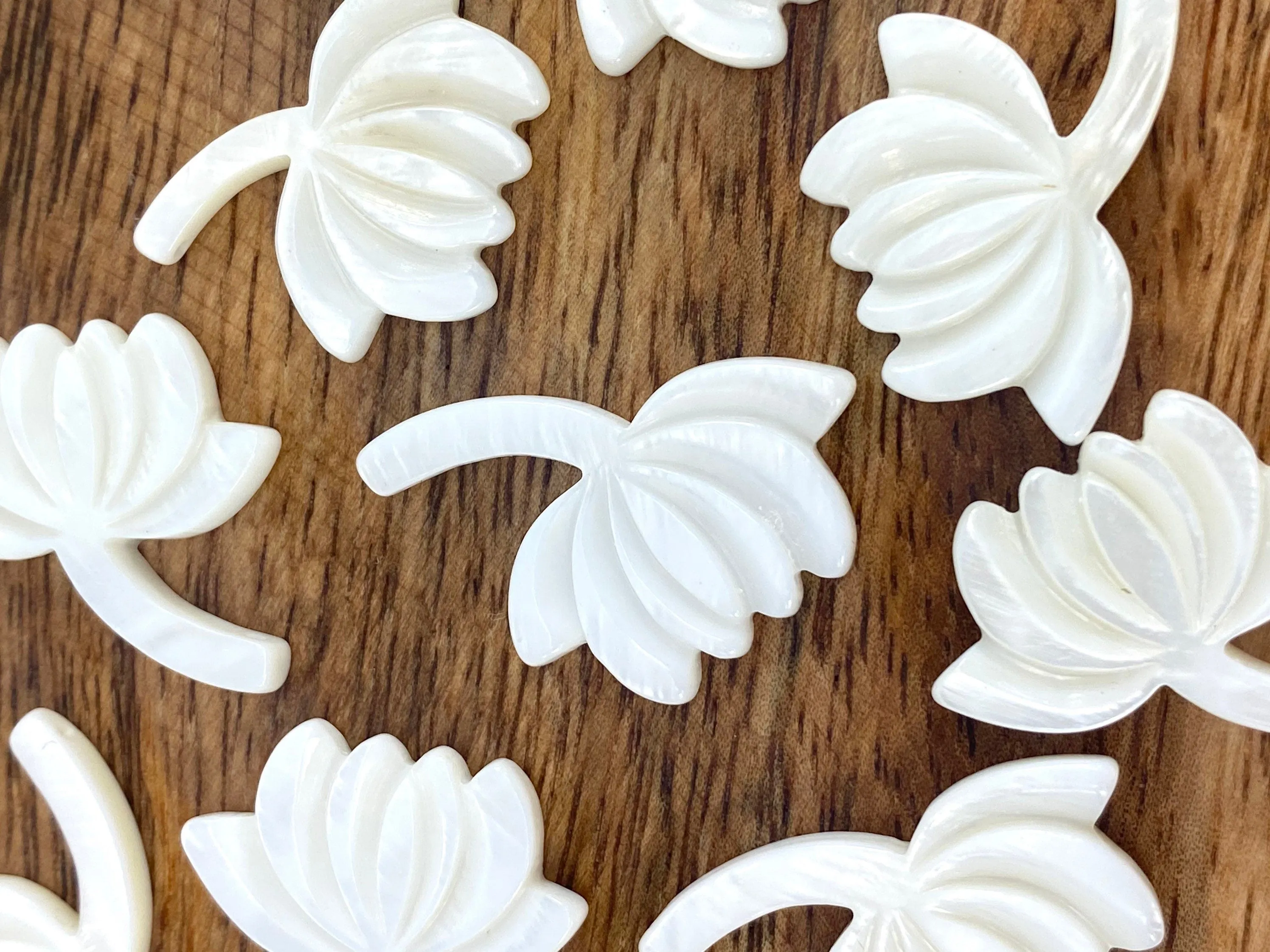 Mother Of Pearl White Shell, Sku#M362